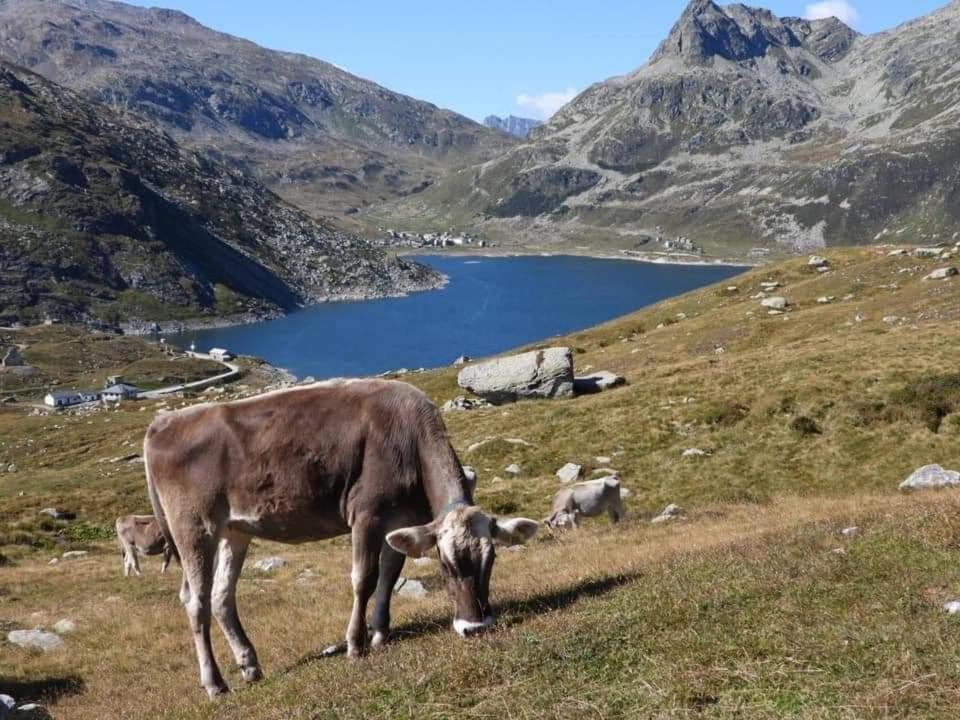Mansarda Vista Lago A Campodolcino Bagian luar foto